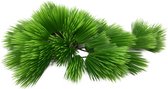 Aqua Della - Aquariumplanten (voeding) - Vissen - Eleocharis 22cm Groen - 1st