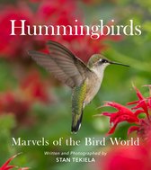 Favorite Wildlife- Hummingbirds