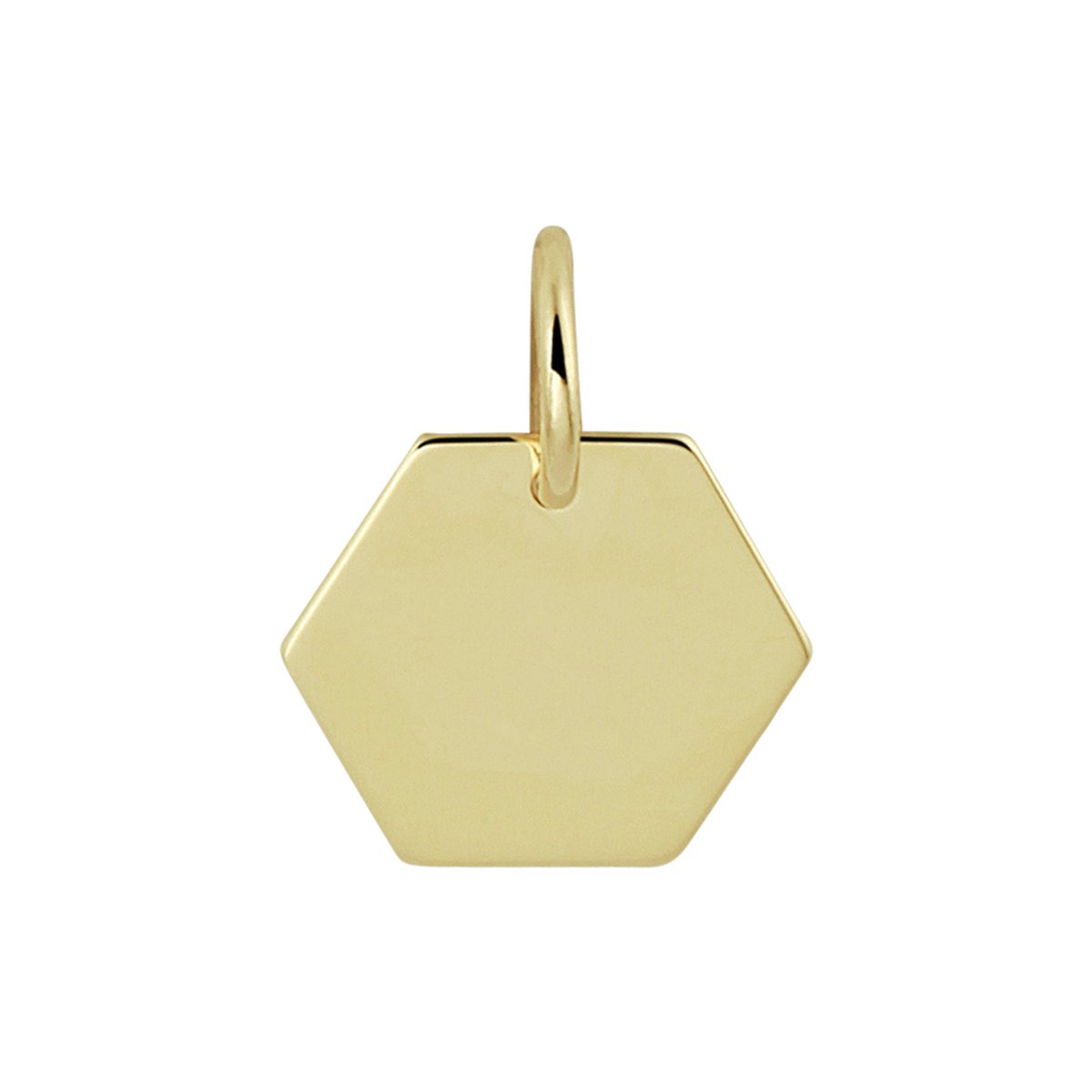 Gouden graveerhanger zeshoek - PSN4021113