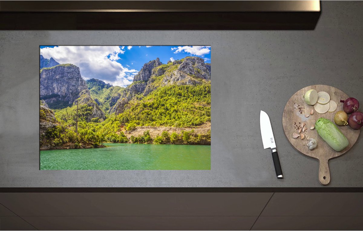 Inductieplaat Beschermer - Bos met Bomen op Rotsen aan het Water - 71x52 cm - 2 mm Dik - Inductie Beschermer - Bescherming Inductiekookplaat - Kookplaat Beschermer van Zwart Vinyl