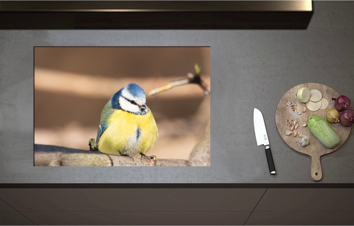 Inductieplaat Beschermer - Bol Pimpelmeesje Zittend op Tak - 75x51 cm - 2 mm Dik - Inductie Beschermer - Bescherming Inductiekookplaat - Kookplaat Beschermer van Zwart Vinyl