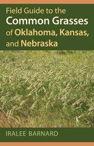 Field Guide To The Common Grasses Of Oklahoma, Kansas, And N