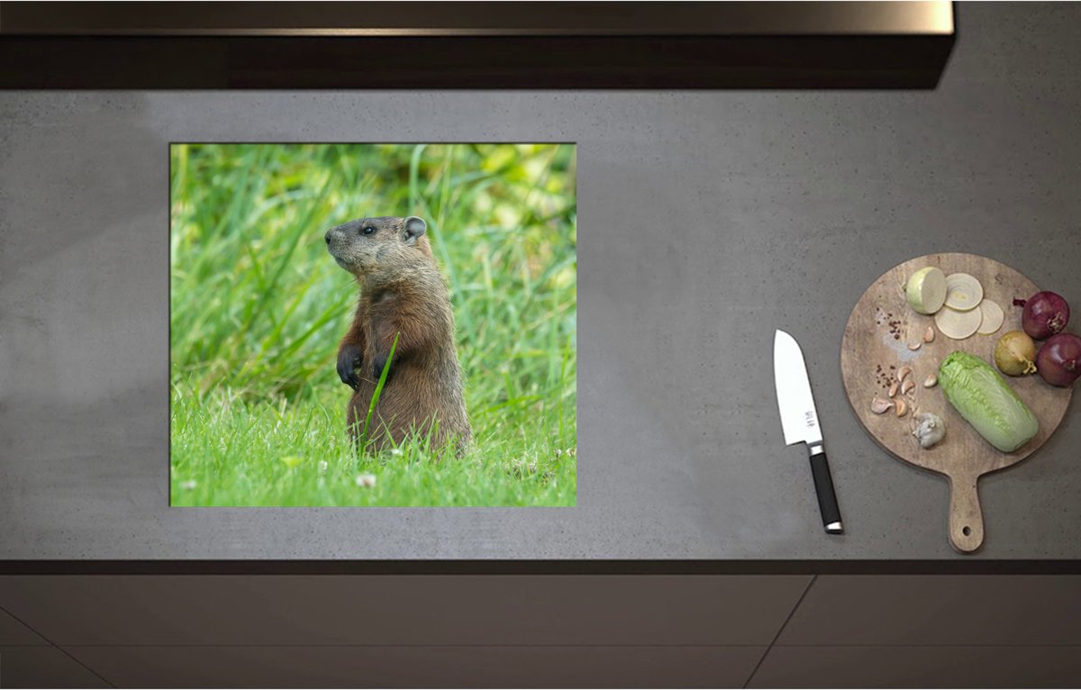 Inductieplaat Beschermer - bever in het groene gras - 57x51 cm - 2 mm Dik - Inductie Beschermer - Bescherming Inductiekookplaat - Kookplaat Beschermer van Wit Vinyl