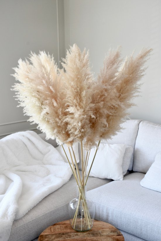 Foto: Luxe beige pampas pluimen 10 stuks xxl pampasgras droogbloemen 100 cm boeket decoratie pluimen woondecoratie decoratie luxury living rietpluimen