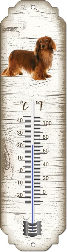 Thermomètre avec un teckel à poil long sur fond d'écorce de bouleau, avec échelle Celsius et Fahrenheit.