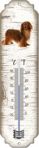 Thermomètre: Teckel à poil long / race de chien / température intérieure et extérieure / -25 à + 45C