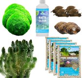 vdvelde.com - Vijver Schoonmaken Pakket - XL - Voor 4.000 - 6.000 L - Zuurstofplanten + extra's - Plaatsing: Los in de vijver