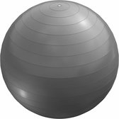 Ballon de Fitness Gorilla Sports gris 75 cm (avec pompe Handy)