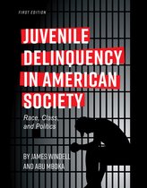 Juvenile Delinquency in American Society