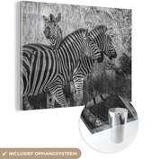 MuchoWow® Glasschilderij 40x30 cm - Schilderij acrylglas - Drie grazende zebra's - Foto op glas - Schilderijen