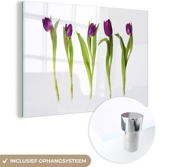 MuchoWow® Peinture sur Verre - Cinq Tulipes dans une Rangée - 30x20 cm - Peintures sur Verre Acrylique - Photo sur Glas