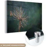 MuchoWow® Glasschilderij 180x120 cm - Schilderij acrylglas - Droge bloem fotoprint - Foto op glas - Schilderijen