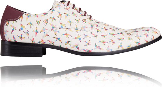 Rainbow Birdy - Maat 45 - Lureaux - Kleurrijke Schoenen Voor Heren - Veterschoenen Met Print