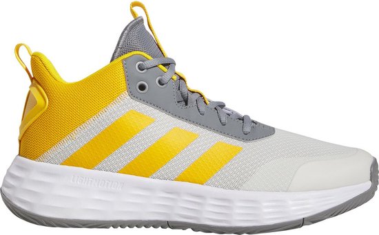 Adidas Ownthegame 2.0 Basketbal Schoenen Grijs EU Man