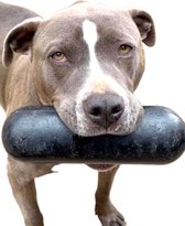 Goughnuts-stok--sterkste hondenspeelgoed- levenslange fabrieksgarantie-onverwoestbaar-hondenspeelgoed- maat XL
