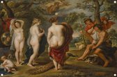 Het oordeel van Parijs - Peter Paul Rubens posters - Mythisch posters - Tuinposter Figuratie - Tuinposters - Tuindoek - Tuin decoratie tuinposter 60x40 cm