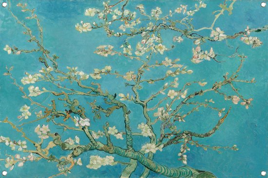 Amandelbloesem - Vincent van Gogh tuinposter - Bloesem poster - Tuinposter Natuur - Buiten poster - Tuin poster - Posters tuinposter 60x40 cm