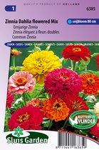 Sluis Garden - Zinnia Dahlia-Bloemige Mix
