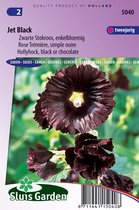 Jardin Sluis - Rose trémière Jet Black (Alcea rosea)