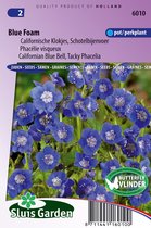 Sluis Garden - Droombijenvoer Blue Foam (Phacelia)