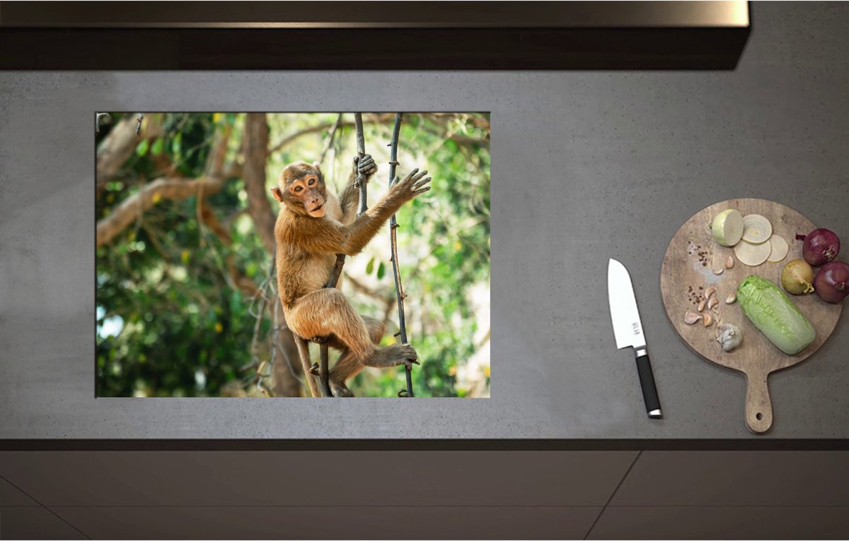 Inductieplaat Beschermer - Aap hangt en zit op takken in de jungle - 70x51 cm - 2 mm Dik - Inductie Beschermer - Bescherming Inductiekookplaat - Kookplaat Beschermer van Wit Vinyl