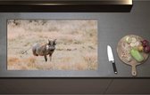 Inductieplaat Beschermer - Aankijkend Zwijn in Droog Afrikaans Landschap - 90x51 cm - 2 mm Dik - Inductie Beschermer - Bescherming Inductiekookplaat - Kookplaat Beschermer van Wit Vinyl