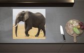 Inductieplaat Beschermer - Afrikaanse Olifant - 59x55 cm - 2 mm Dik - Inductie Beschermer - Bescherming Inductiekookplaat - Kookplaat Beschermer van Zwart Vinyl