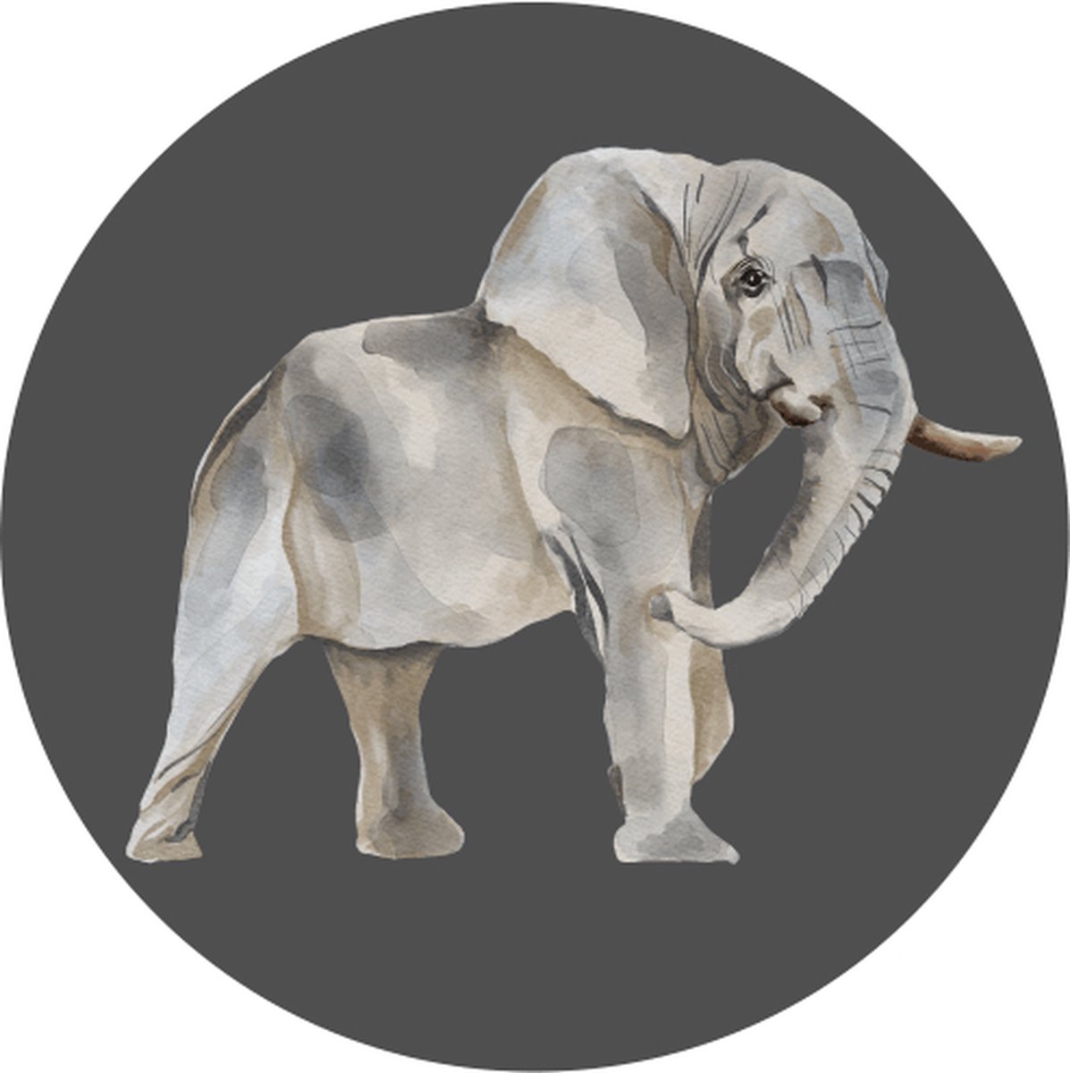 Muurcirkel Olifant - Grijstinten Watercolor | Wildlife Decoratie - 30cm Diameter
