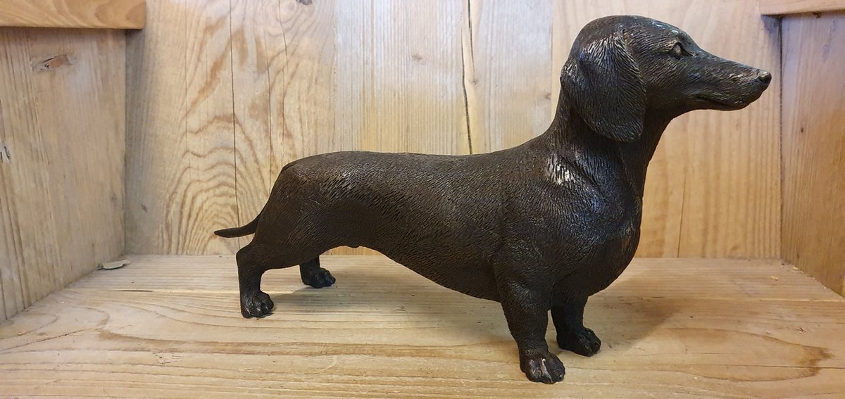 bronzen teckel / hond / teckel