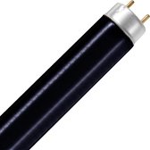 Tube Fluorescent 30W G13 Noir Blue Lumière noire