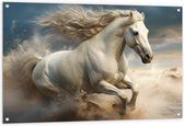 Tuinposter – Paard - Dier - Wit - Rennen - 120x80 cm Foto op Tuinposter (wanddecoratie voor buiten en binnen)