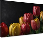 Tulpen schilderij - Bloemen schilderijen - Schilderij op canvas Waterdruppels - Landelijk schilderij - Canvas schilderij woonkamer - Kunst 90x60 cm
