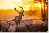Tuinposter 90x60 cm - Tuindecoratie Hert - Dieren - Zonsondergang - Winter - Heide - Natuur - Poster voor in de tuin - Buiten decoratie - Schutting tuinschilderij - Tuindoek muurdecoratie - Wanddecoratie balkondoek