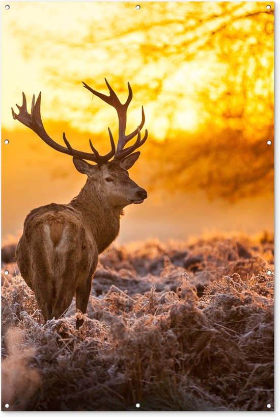 Hert - Dieren - Zonsondergang - Winter - Heide - Natuur - Tuindoek