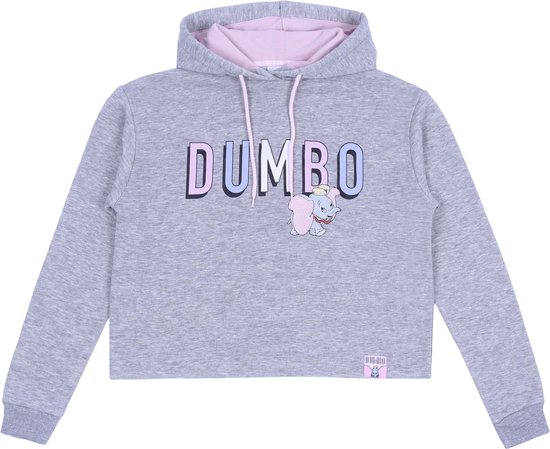 Grijs Dumbo DISNEY sweatshirt