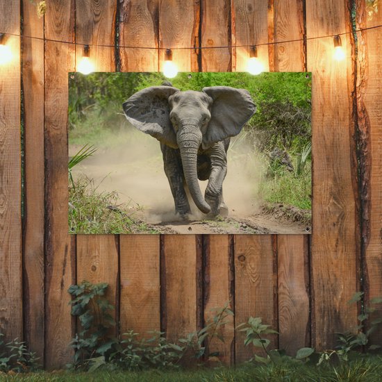 Affiche Running Elephant Garden 120x80 cm - Toile de jardin / Toile d'extérieur / Peintures d'extérieur (décoration de jardin)