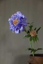 Nepbloem - scabiosa - lila - 58 cm - zijden bloem - voor in een boeket