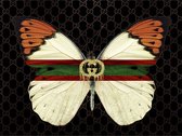 Glasschilderij - Vlinder Gucci - 80 x 60 x 0,4 cm