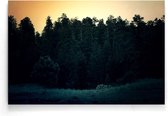 Walljar - Campside Forest - Muurdecoratie - Poster