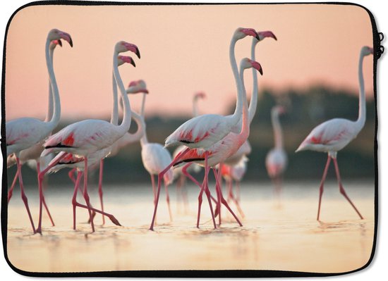 Housse ordinateur 13 pouces 34x24 cm - Flamingo - Housse Macbook & Laptop Groupe de flamants roses au coucher du soleil en Italie - Housse ordinateur portable avec photo