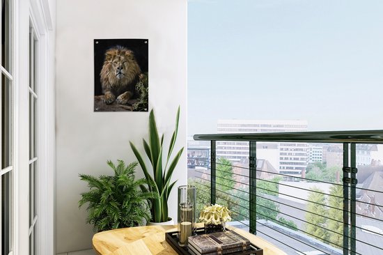 Décoration de Jardin Lions - Chasse - Portrait - 30x40 cm - Toile de jardin