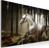 Schilderij - A white horse in the midst of the trees.
