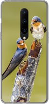 Geschikt voor OnePlus 7 Pro hoesje - Vogels - Tak - Portret - Siliconen Telefoonhoesje
