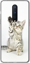 Geschikt voor OnePlus 8 hoesje - Kitten - Poot - Wit - Meisjes - Kinderen - Jongens - Kind - Siliconen Telefoonhoesje