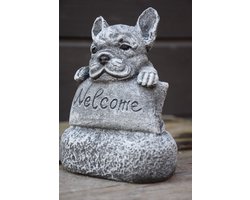 Franse Bulldog, Frenchie, Welcome