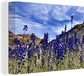 Canvas Schilderij Texas Bluebonnet bloemen tussen de heuvels - 120x90 cm - Wanddecoratie