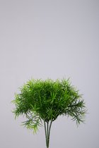 Kunstplant - Springeri - topkwaliteit decoratie - 2 stuks - zijden bos - Groen - 19 cm hoog