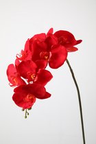 Kunstbloem - butterfly orchids - topkwaliteit decoratie - 2 stuks - zijden bloem - Rood - 88 cm hoog