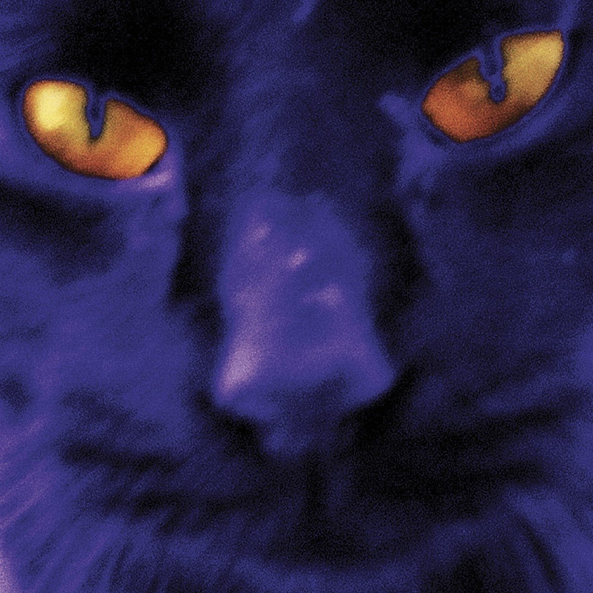 David Kilgour & The Heavy Eights - Bobbie's A Girl (LP)