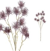 PTMD Twig Plant Pijnboom Naald Kunsttak - 40 x 23 x 66 cm - Paars